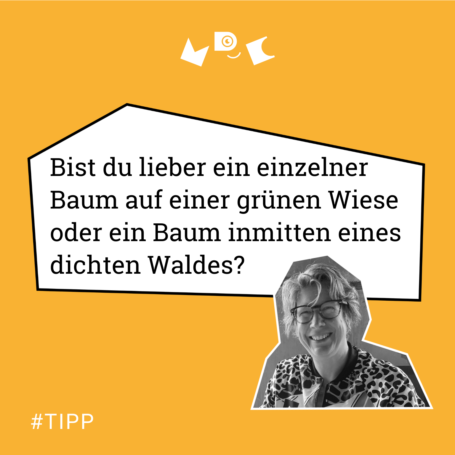 Bist du lieber ein einzelner Baum auf einer grünen Wiesen oder inmitten eines dichten Waldes?