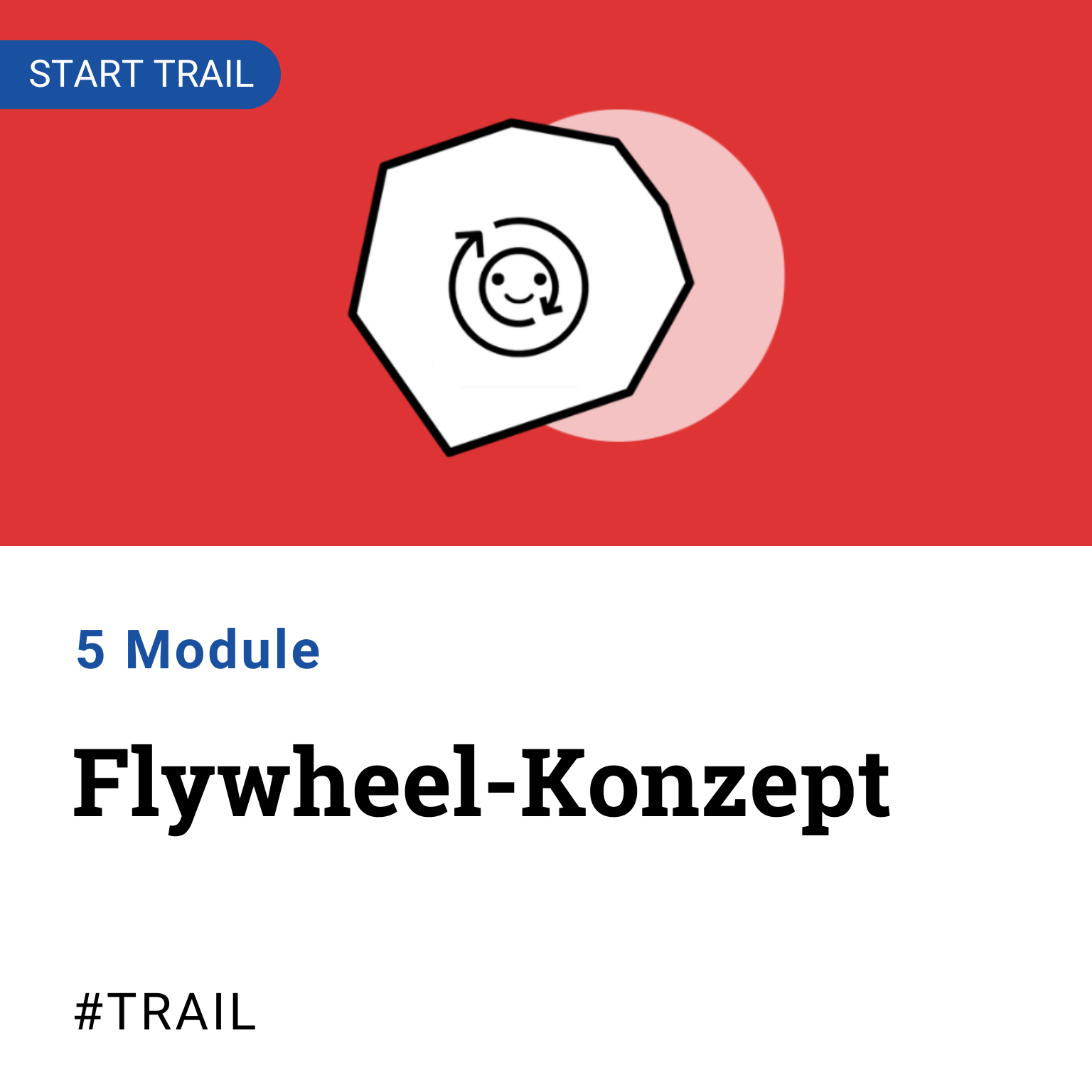 Trail Flywheel Konzept 5 Module